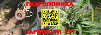 соль ск Будённовск
