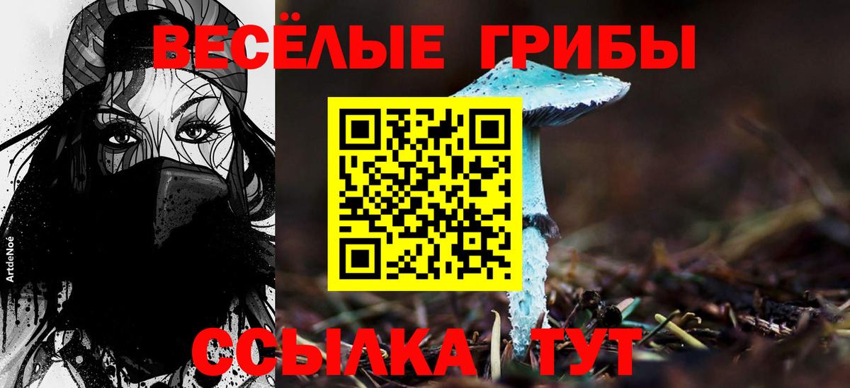Псилоцибиновые грибы Psilocybine cubensis Петровск