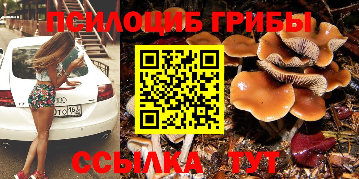 Петровск  Галлюциногенные грибы GOLDEN TEACHER  Вход с VPN 