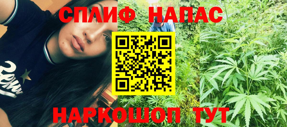 Шишки марихуана планчик  Канабис тримм  Петровск  Вход с VPN 